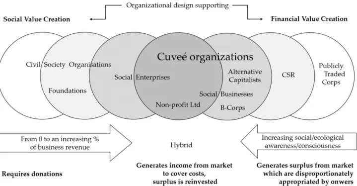 Figure 1. Organizations on the cause-profit coordinate system (inspired by Ryder–Vogeley [30] and Wilson and Post [9]).