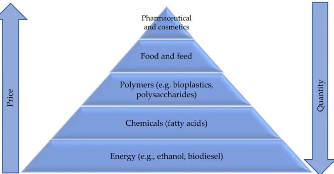 Figure 8. Major characteristics of microalgae-based biofuels production. Adapted with permission  from ref