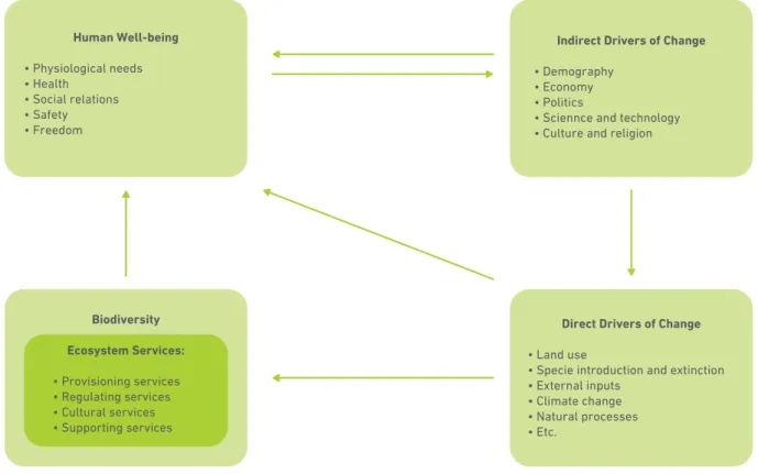 Figure 2: Links between ecosystem services and human well-being (MA, 2005) Cultural ecosystem services (CES) are defined as 