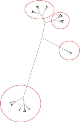 Fig. 5    Unrooted dendrogram of the final set of signals, suggesting the  split into 4 clusters