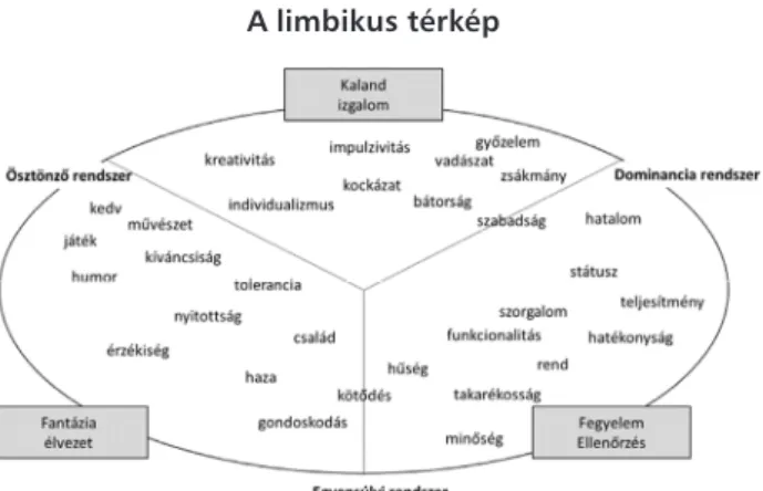 1. ábra  A limbikus térkép 