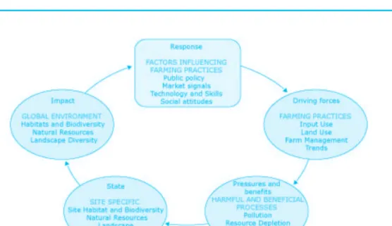 Figure 2. Th   e DPSIR framework Source: (EC, SEC(2006) 1136)