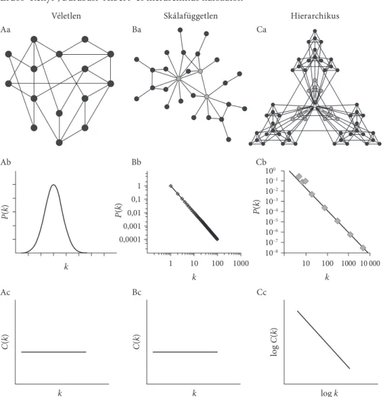 kötnek össze (Barabási [2016]). az 1. ábra mutatja, hogy míg a skála függet len  hálózatokat a fokszámeloszlás hatványjellege különbözteti meg az Erdős–Rényi  [1960] véletlen hálózattól, addig a hierarchikus (például mag–periféria)  hálózato-kat a klaszter