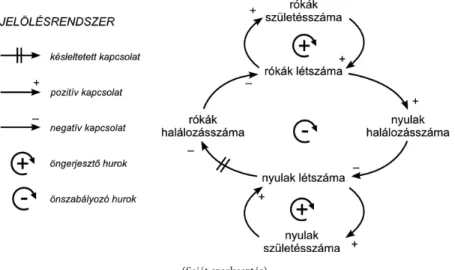 1. ábra. Példa komplex oksági diagramra. A két populáció egyedszáma egymást szabályozza