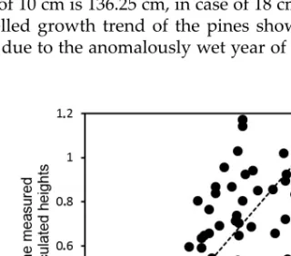 Fig. 14. The correlation between the  ratio of the  measured  and calculated heights of the  Pinus nigra individuals