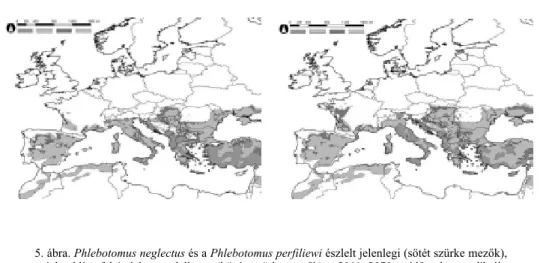 5. ábra. Phlebotomus neglectus és a Phlebotomus perfiliewi észlelt jelenlegi (sötét szürke mezők),   a jelen klímafeltételekre modellezett (közép szürke mezők), a 2011−2070-es időszakra prediktált   klímafeltételek szerint modellezett (világos szürke) pote