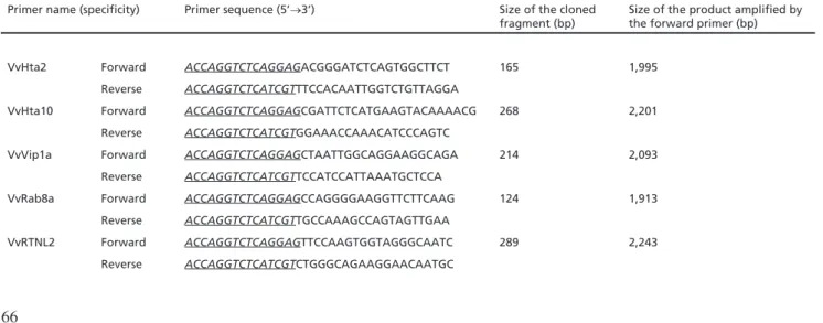 Table 1. Primers used for cloning (forward and reverse for each sequence, see Fig. 1) and PCR analysis of inverted repeat constructs  (forward only) designed on the basis of grapevine sequence data (Jaillon et al