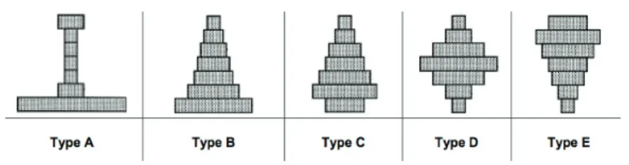 Figure 5 ISSP Society types