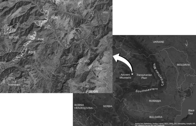Fig. 1.The island-like system of outcrops inhabited by Saponaria bellidifolia in the Apuseni Mountains (Carpathian Mountains, Romania), and the location of the study area in Europe.