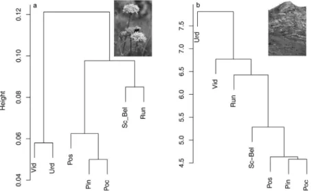 Fig. 3. Cluster dendrograms showing the (a) genetic and (b) species composition dissimilarity of seven Saponaria bellidifolia populations and their habitat within the Carpathian Mountains.