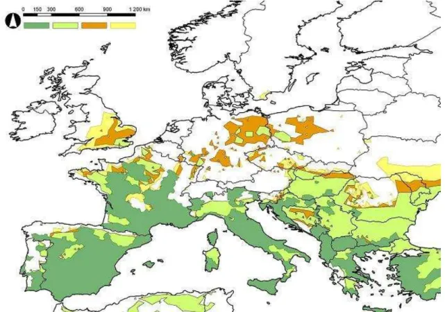 2. ábra.  Az öt vizsgált Phlebotomus faj elterjedési területének uniója (sötétzöld), az unióra  vonatkozó  potenciális  elterjedési  terület  a  referencia-időszakban  (világoszöld)  és  a  modellezett  potenciális  elterjedési  terület  2011-2040-ben  (na