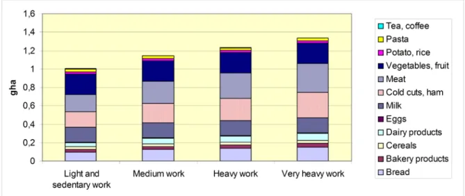 Figure 4  Recommended healthy footprint structure, taking into account physical activity  and its energy needs Source: Authors’ own calculations (2012)