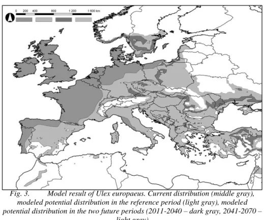 Fig. 3.  Model result of Ulex europaeus. Current distribution (middle gray),  modeled potential distribution in the reference period (light gray), modeled  potential distribution in the two future periods (2011-2040 – dark gray, 2041-2070 – 