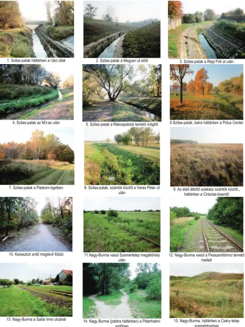 4. ábra  Fotódokumentáció a zöldfolyosó jellemző szakaszairól  Forrás: Szabó, 2011