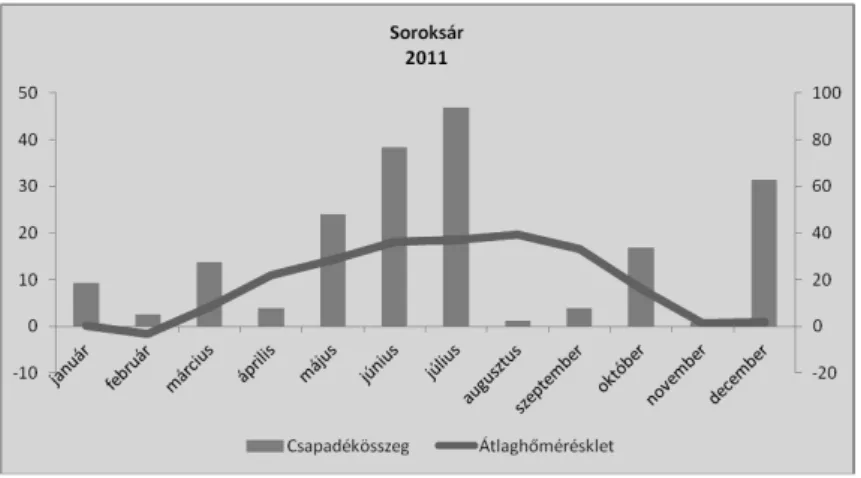 A fűzek a Varázsvessző kivételével nagy arányban eredtek (1. táblázat), a „magyar” 