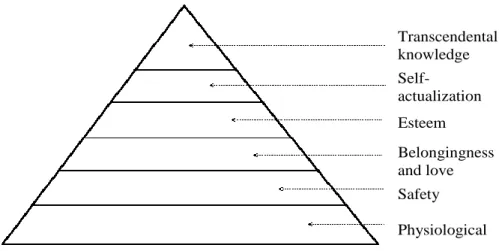Figure 2. Maslow’s Hierarchy of Basic Human Needs 