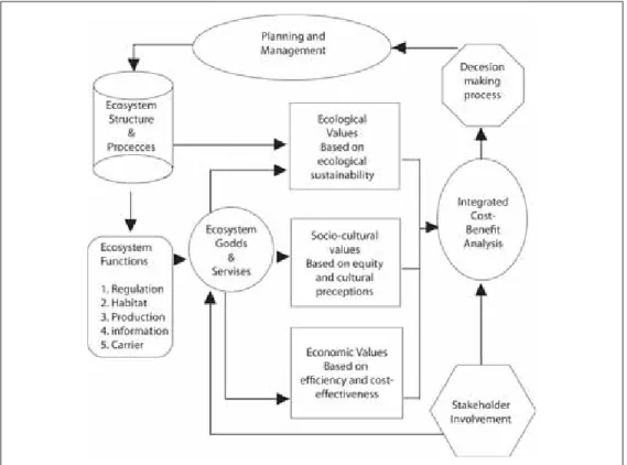 Figure 2: Role of function-analysis and valuation in environmental planning, management  and in decision-making after de Groot 1992; de Groot et al 2002 (de Groot 2006).