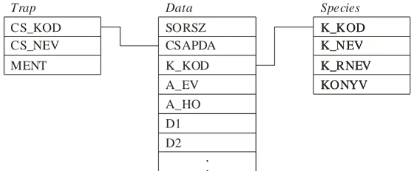 Fig. 3. demonstrates the relational connections of tables (records) presented in Fig.1,  Fig