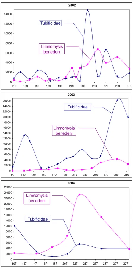 Figure 5.  Seasonal changes in the biovolume values (mm 3 ) of Limnomysis benedeni and  Tubificidae over three years (the serial numbers of days are shown on axis x) 