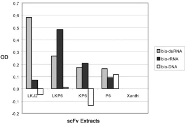 Fig. 4. Comparison of antigen binding activity and specificity of J2- and P6-scFvs expressed in tobacco.