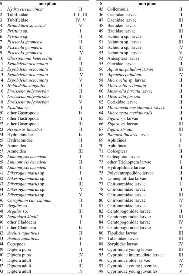 Table 3. The list of morphons with the appropriate serial number (S) derived from the  taxonomic name, the category of body size, and in some cases from the state of ontogenesis  (larva, pupa, adult).
