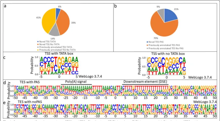 Fig. 1  Sequence motifs and proportions of TSSs and TESs. Distribution of TATAA and non-TATAA promoters (a)