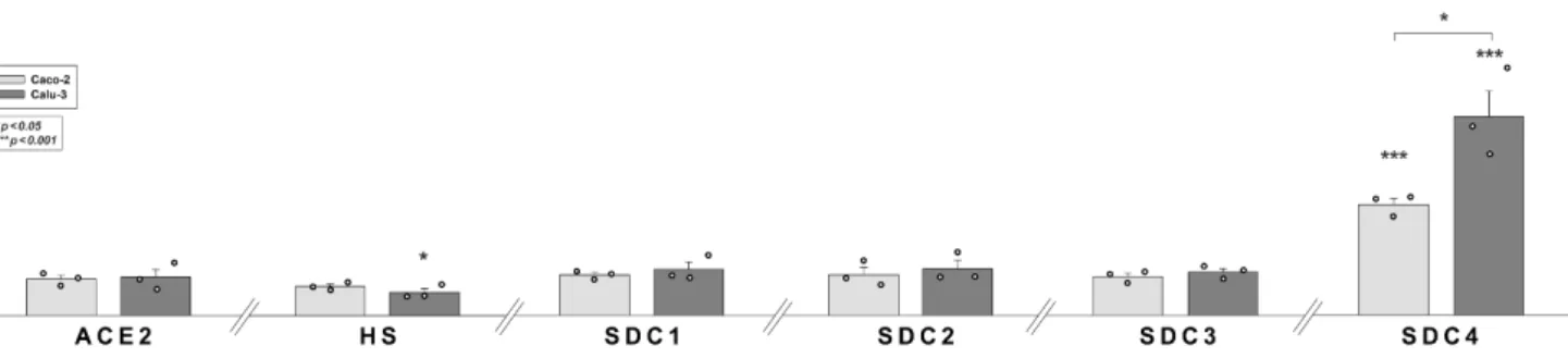 Figure 7. Comparative expression analysis of ACE2, HS and SDCs in 293T, Caco-2 and Calu-3  cells