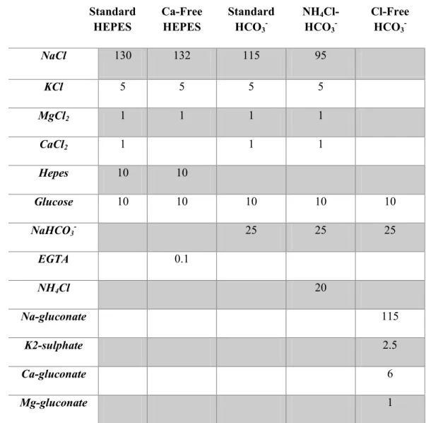 Table 2- composition of solutions used during experiments  Standard  HEPES  Ca-Free HEPES  Standard HCO 3  -NH 4 Cl-HCO3 -Cl-Free HCO3 -NaCl  130  132  115  95  KCl  5  5  5  5  MgCl 2 1  1  1  1  CaCl 2 1  1  1  Hepes  10  10  Glucose  10  10  10  10  10 