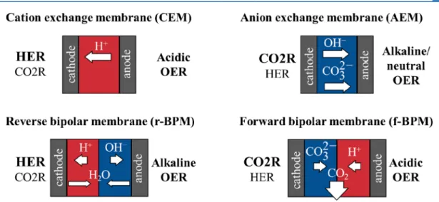 Table 1. Summary of Ion Transport Processes, the Conditions Emerging at the Membrane Surface, and the Main Obstacles during CO 2 Electrolysis Using Diﬀerent Ion Exchange Membranes