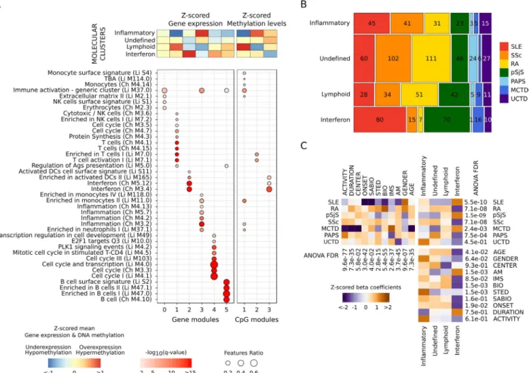 Figure 2.  High- level - omic layers of information functionally characterize each of the molecular clusters of systemic autoimmune diseases,  do not correspond to clinical diagnoses, and are not conditioned by confounders