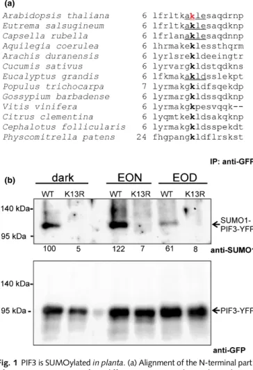 Fig. 1 PIF3 is SUMOylated in planta. (a) Alignment of the N-terminal part of PIF3 protein sequences from different species