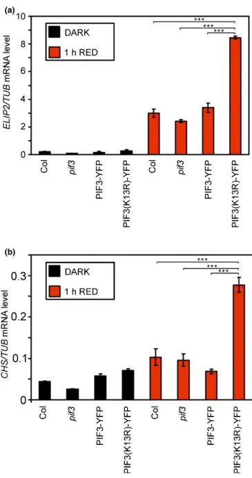 Fig. 3 PIF3-dependent induction of early response genes. Five-day-old dark-grown Arabidopsis seedlings (black columns) were irradiated with 10 µ mol m −2 s −1 red light for 1 h (red columns) and the levels of ELIP2 (a) or CHS (b) transcripts were measured 