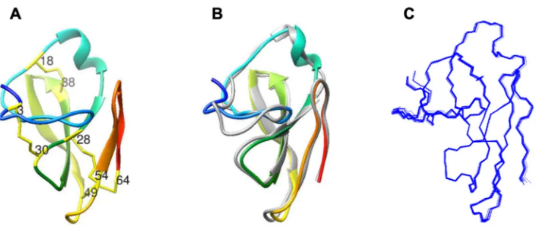 Figure 2. Comparison of the structures of Penicillium spp. MPs. (A) The NMR solution structure of the PAFC (pdb code 6TRM)
