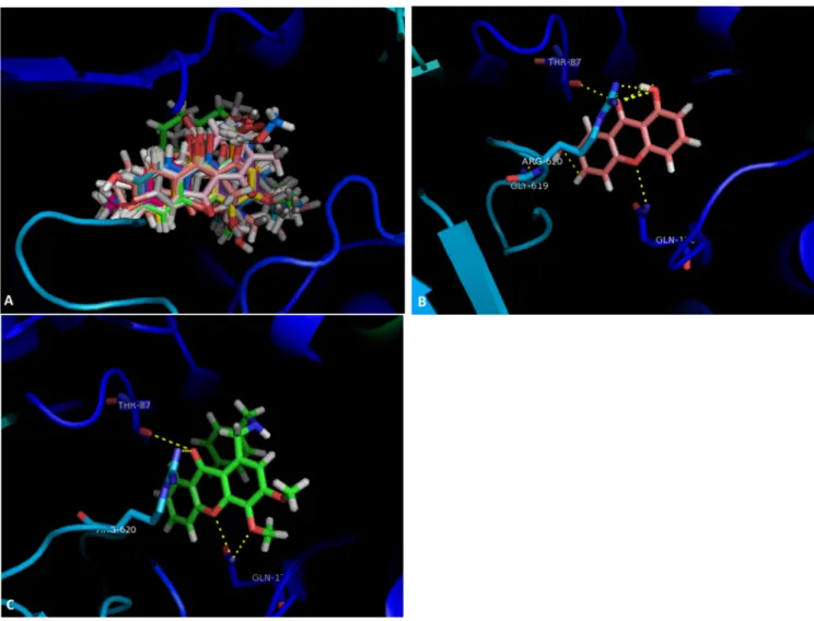 Figure 1. (A) Molecular visualization of all the tested compounds in the SBS of AcrB; (B) interactions of compound 4 with  the SBS; (C) interactions of compound 20 with the SBS