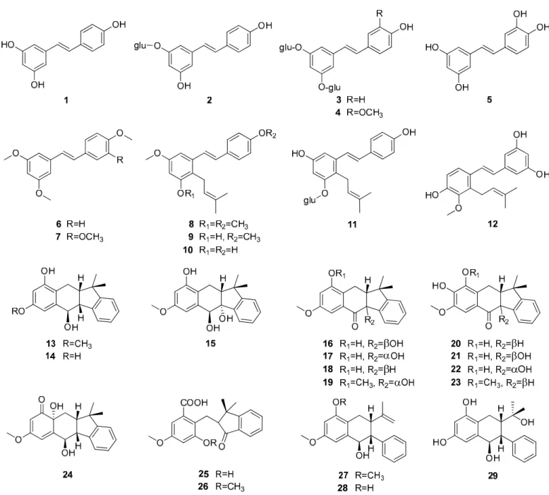 Figure 3. Stilbene monomers isolated from Cyperaceae species (glu = glucose). 