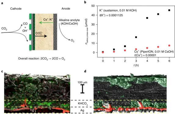 Fig. 1 | unintended cation cross-over and precipitate formation in alkaline anolyte-fed zero-gap CO 2  electrolysers