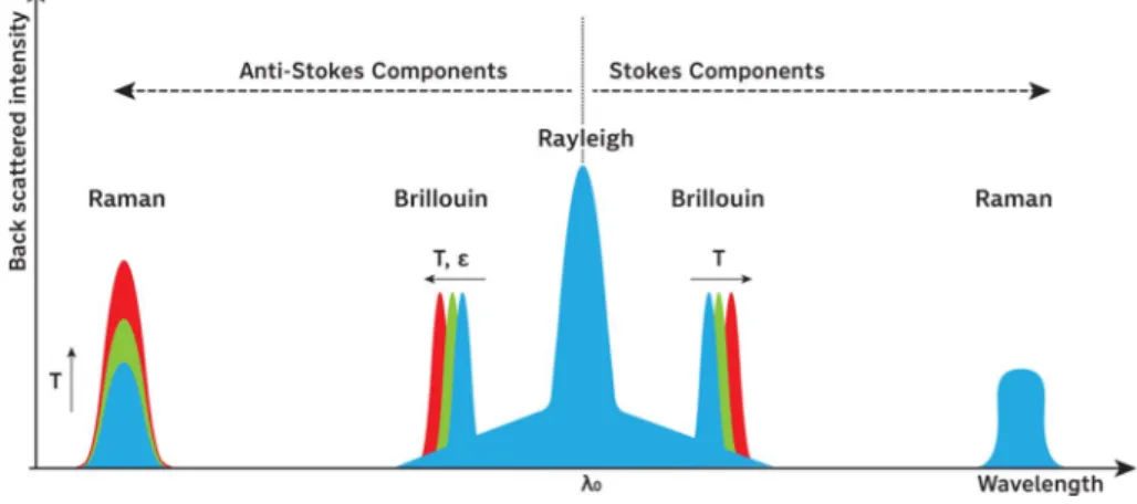 Fig. 6   Schematics of Rayleigh, Raman, and Brillouin peaks in the back-scattered light spectrum (modified  from Frings and Walk 2011)