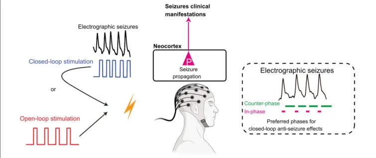 FIGURE 1 | Open-loop and closed-loop interventions in epileptic seizures. Open-loop intervention delivers preset stimulation naive to the ongoing rhythmicity of brain activity., while closed-loop intervention governs stimulation pattern by the real-time pr