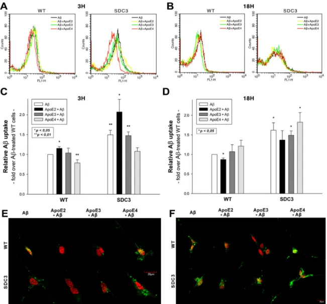 Figure 6. The effects of ApoEs on Aβ1–42 uptake in WT and SDC3-overexpressing differentiated SH-SY5Y cells