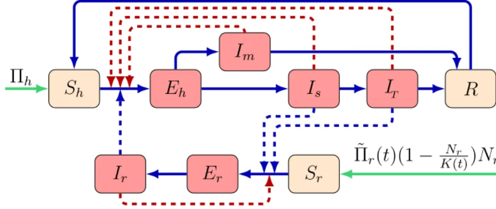 Fig. 2. Schematic diagram of the LHF transmission among rodents and humans. Red nodes denote infectious, brown nodes denote non-infectious states