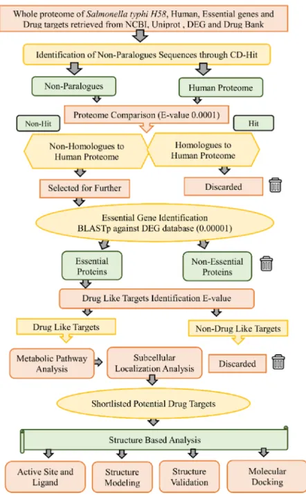 Figure 1. Workflow. Complete work flowchart of the present study for subtractive genome analysis of H58 for finding a potential drug target.