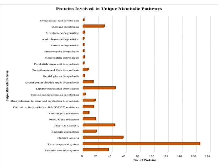 Figure 2. Metabolic Pathways of shortlisted Proteins. A bar showing all the proteins involved in metabolic pathways.