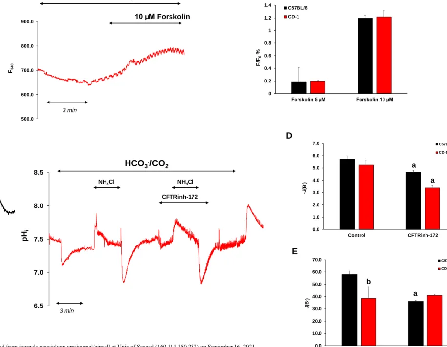 Figure 9 A  B 500.0600.0700.0800.0900.0F340 Hepes 10 µM Forskolin3 min 500.0600.0700.0800.0900.0F340 Hepes3 min C D E10 µM Forskolin 6.56.87.17.47.78.0pHi HCO 3 - /CO 2NH4Cl NH 4 Cl CFTRinh-172 6.57.07.58.08.5pHi HCO 3 - /CO 2NH4Cl NH 4 Cl CFTRinh-172 0.01
