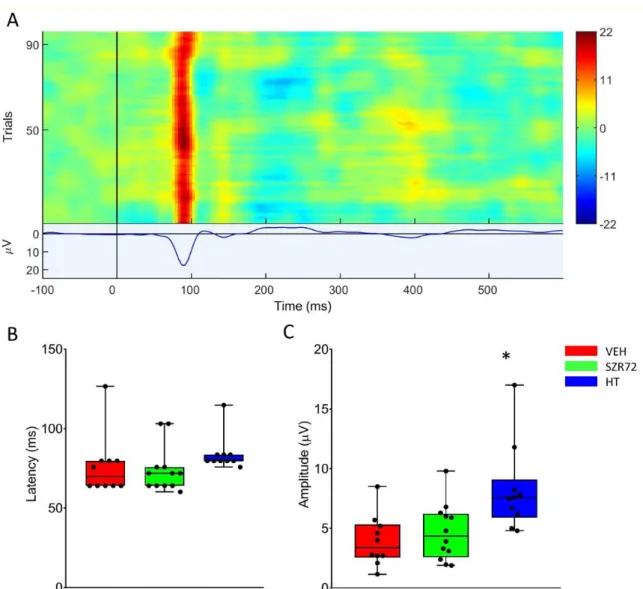 Figure 8. Visual evoked potentials (VEP) evoked at 24 h after asphyxia. (A): The heat map shows the responses to the  100 individual light stimuli, constituting the VEP waveform displaying a marked P100 component in a representative  record