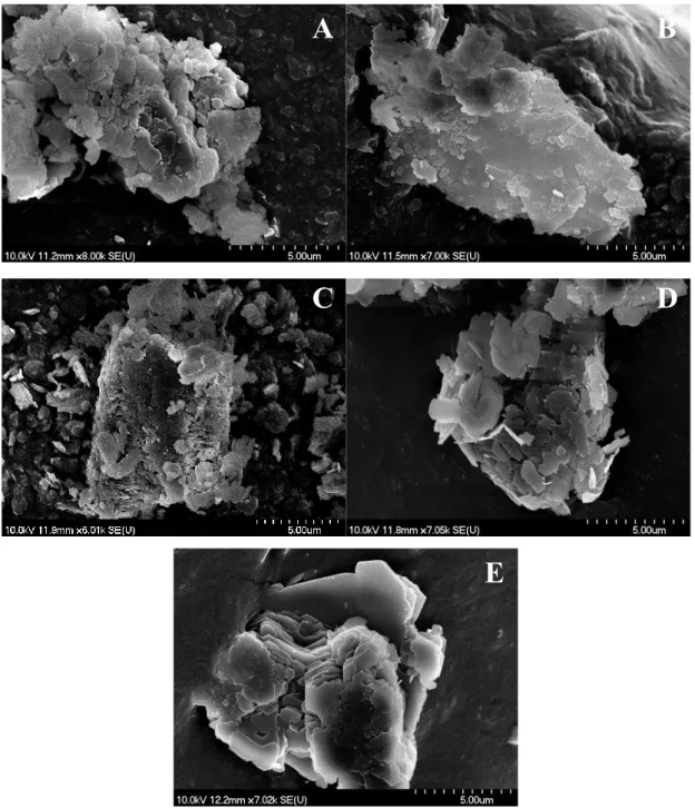 Fig. S3 SEM photos of the raw kaolinite solids: Kaol1 (A); Kaol2 (B); Kaol3 (C); Kaol4 (D);  Kaol5 (E)