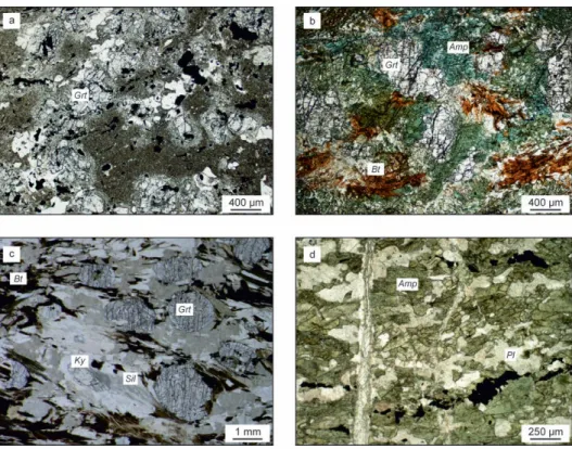 Figure 6. Characteristic metamorphic lithologies of the Szank and the Csólyospálos–E basement areas