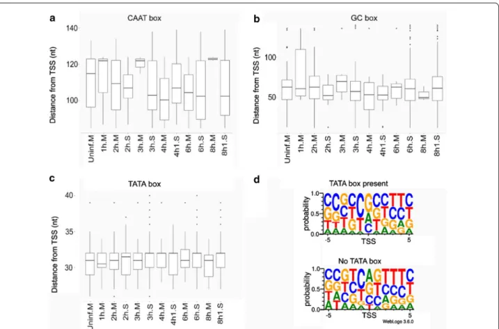 Fig. 1  The distance of the host promoter elements from the TSS or the transcription initiator sequence