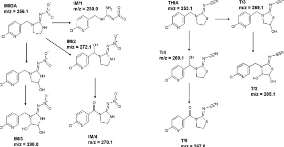 Figure 6. The products of IMIDA and THIA detected by HPLC-MS. 