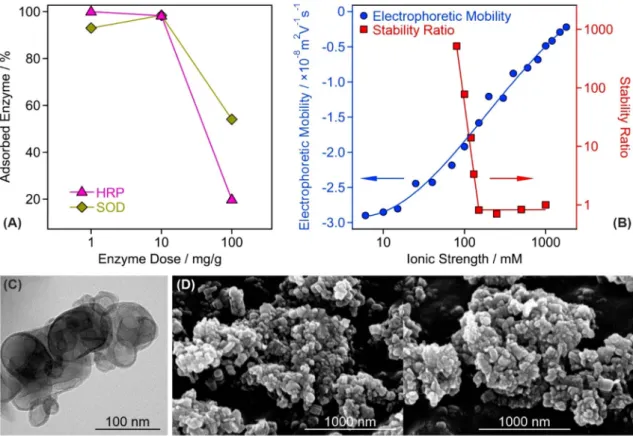 Figure 2.  Structural and colloidal features of the CASCADE composite. (A) Partitioning of HRP and SOD  enzymes between the bulk and the surface at different enzyme doses