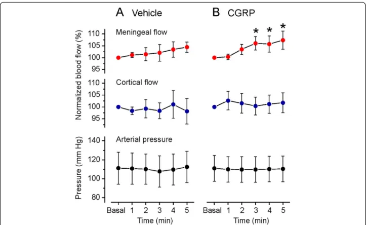 Fig. 4 Meningeal and cortical blood flow normalized to baseline (Basal, the minute prior to application) of vehicle (SIF, A) and CGRP at 10 μ M (B) onto the dura mater, and concomitant arterial pressure